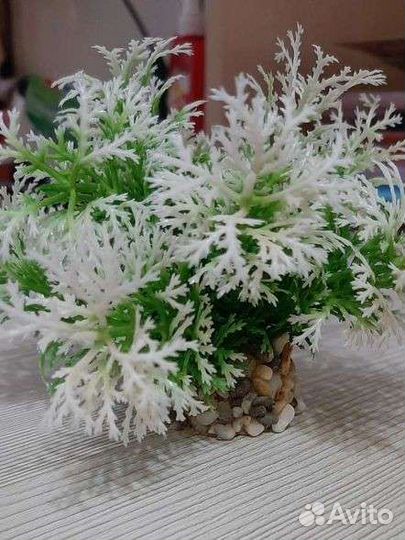 Искусственные водоросли и грунт