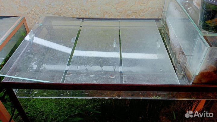 Аквариум с рыбками