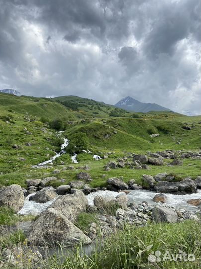 Пассажирские перевозки