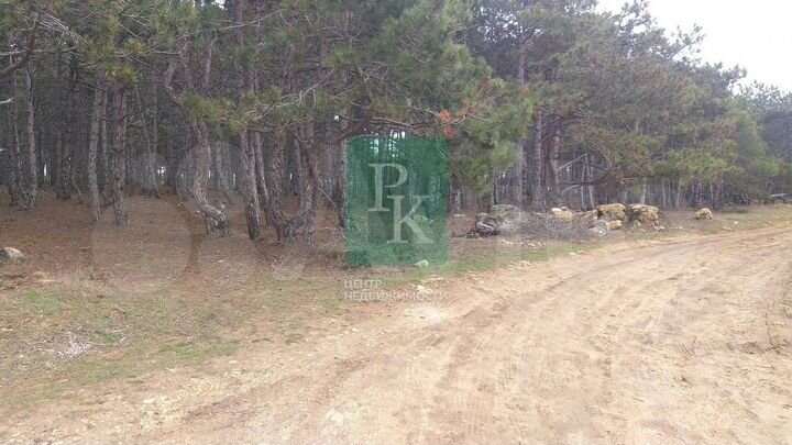 Участок 5,4 сот. (СНТ, ДНП)