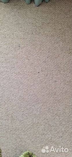 Половое покрытие