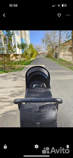 Коляска carello epica 2 в 1