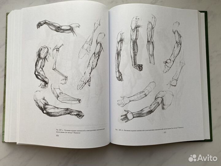 Основы учебного академического рисунка Николай Ли