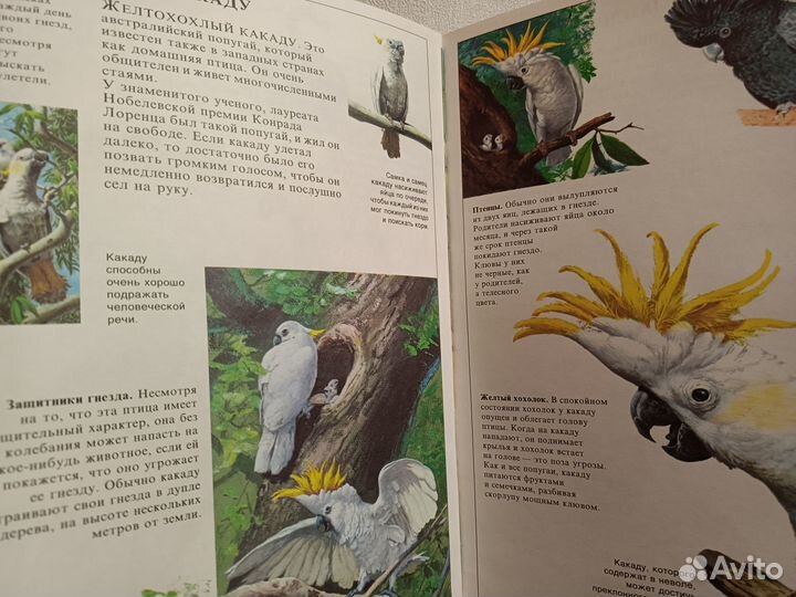 Детская энциклопедия животных