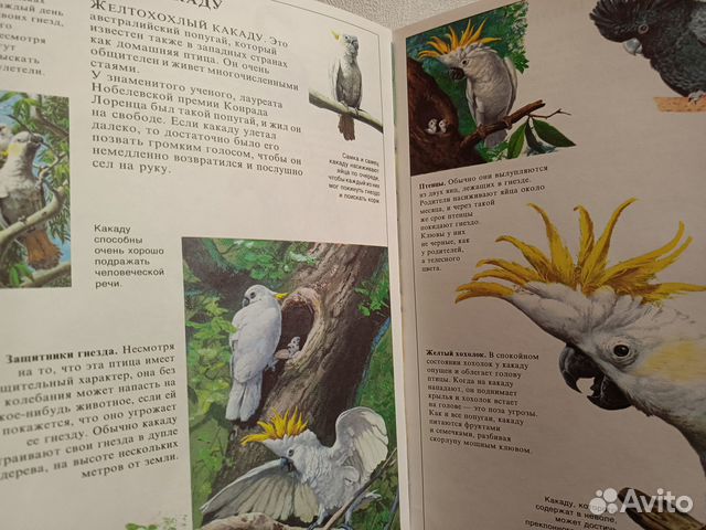 Детская энциклопедия животных