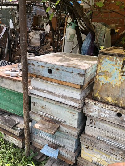 Ульи для пчел