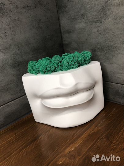 Кашпо «Губы Давида» со стабилизированным мхом