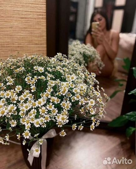 Ромашки букет