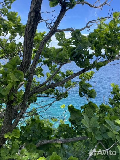 Экскурсия — Владивосток — Вулканический полуостров