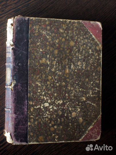 Луиза Т. Олькотт, Маленькие мужчины, 1900