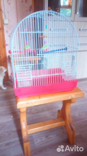 Клетка для птиц