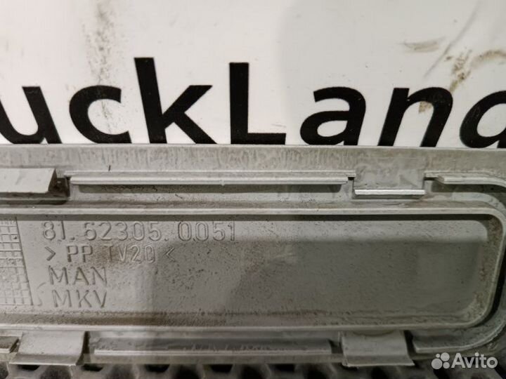 Накладка декоративная Man Tgx