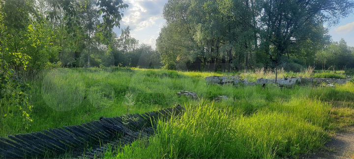 Участок 12 сот. (ИЖС)