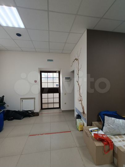 Торговая площадь, 49.3 м²