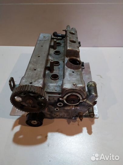 Гбц Вектра Б