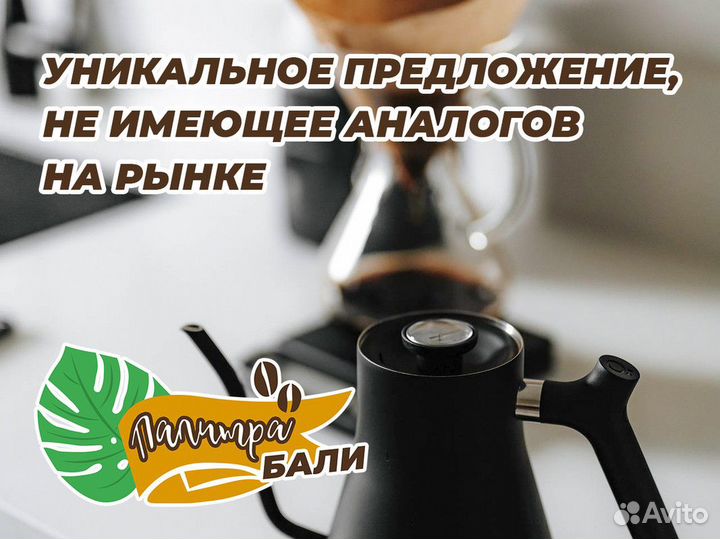 Франшиза Палитра Бали