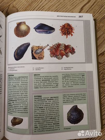 Энциклопедия Биология