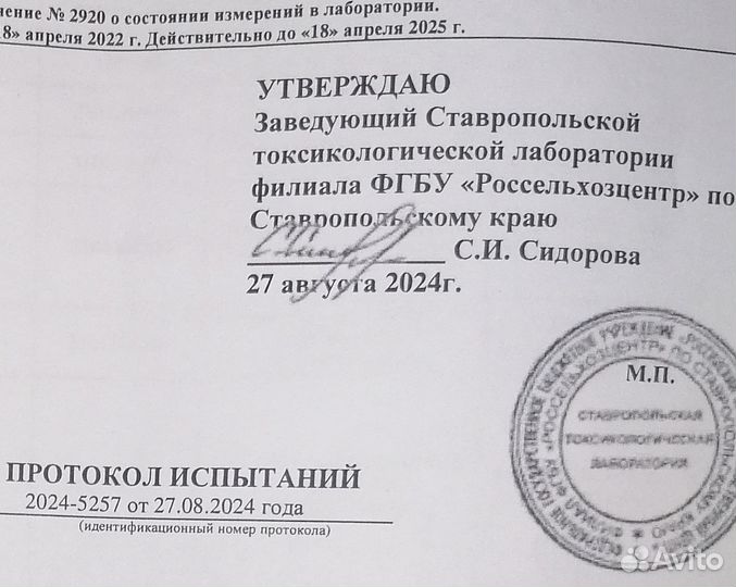 Зерно озимой пшеницы третьего класса