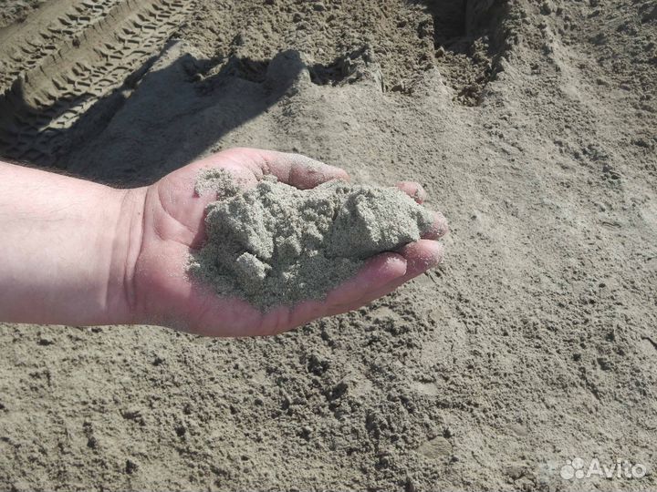 Купить песок доставка тараканом