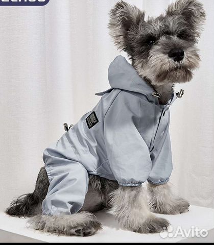 Комбинезон для собаки