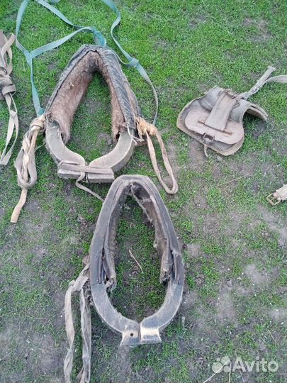 Сбруя для лошади