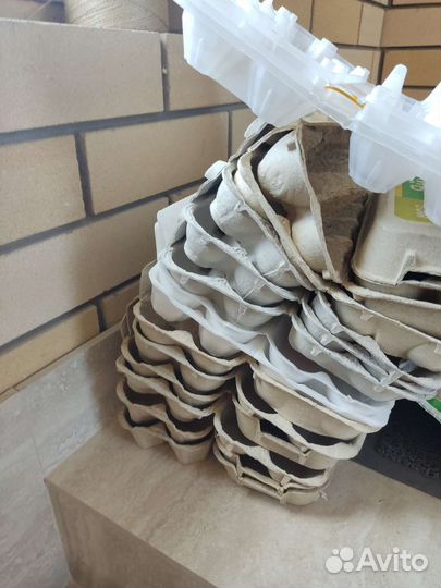 Упаковка для куринных яиц