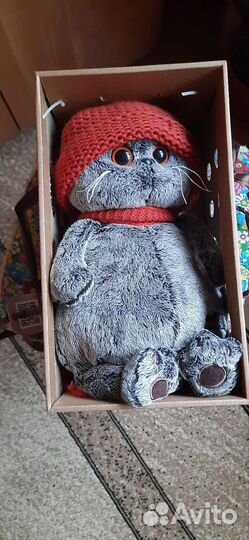 Котик Басик