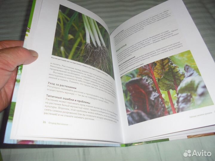 Энцикл дачн Перцы Сад земл Защит раст 1000 советов