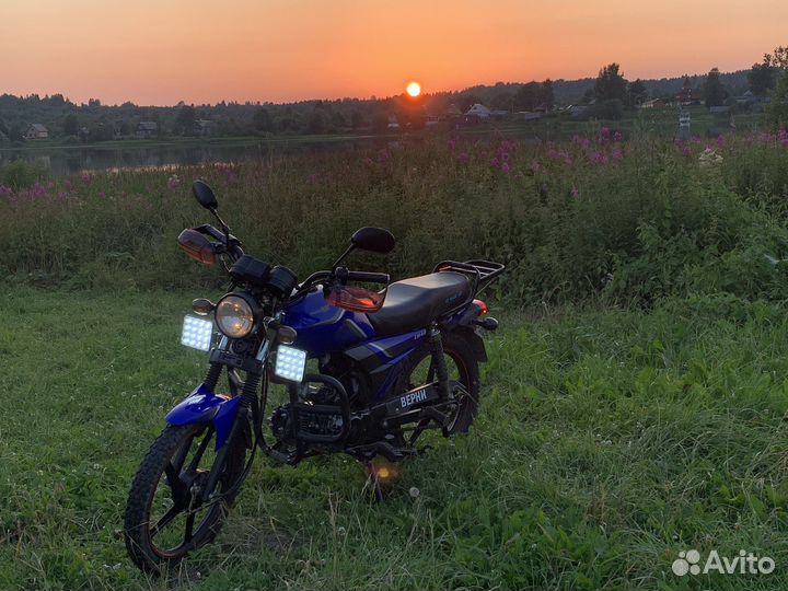 Альфа Хантер