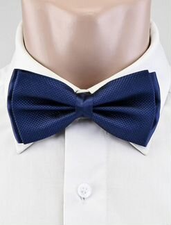 Бабочка мужская