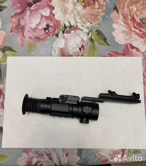 Dedal venator