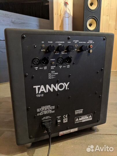 Tannoy ts12 sale