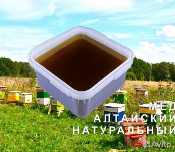 2024 Мед натуральный алтайский оптом