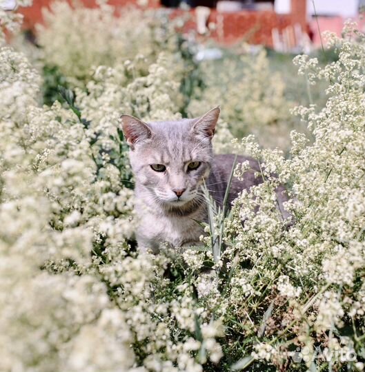 Геркулес – мужчина, способный восхищать