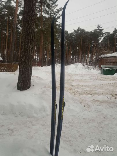 Беговые лыжи