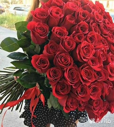 Высокие розы Гигантские розы Доставка цветов