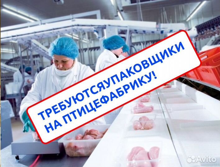 Упаковщик на птицефабрику Вахта Ржев