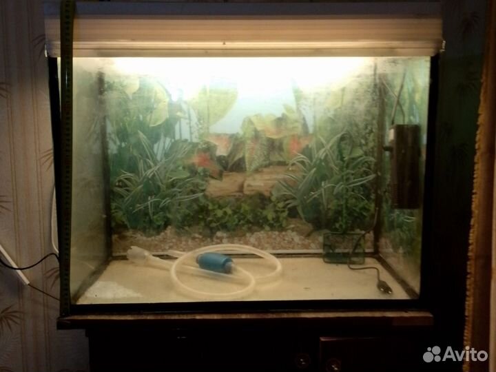 Аквариум