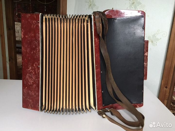 Аккордеон Harmoness