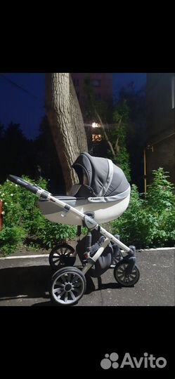 Коляска Anex sport