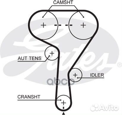 Ремень грм;1.4-1.8 dohc 146X24;146CL24;FB-1033;