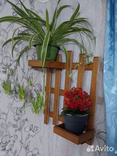 Полка для цветов, стеллаж, кашпо