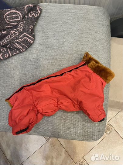 Дождевик утепленный для собак