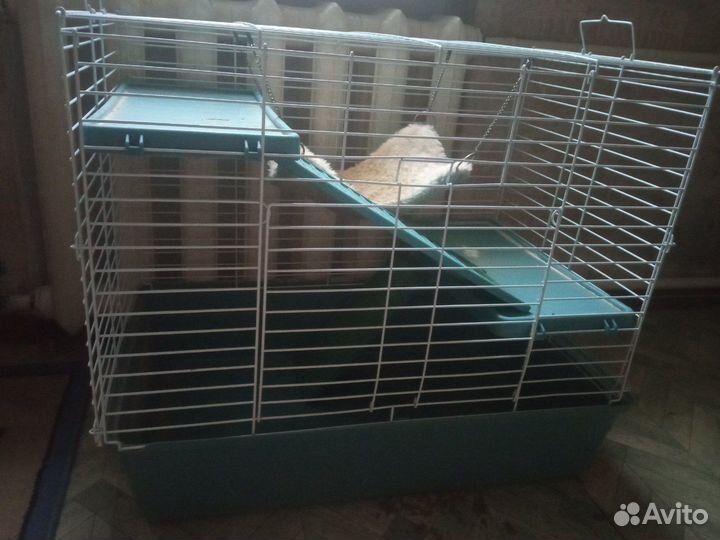 Клетка для грызунов, хорьков