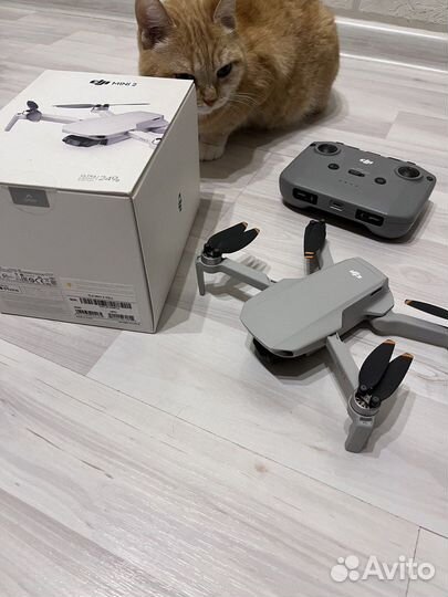 Квадрокоптер DJI Mini 2