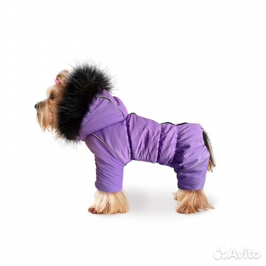 Зимняя одежда для собак