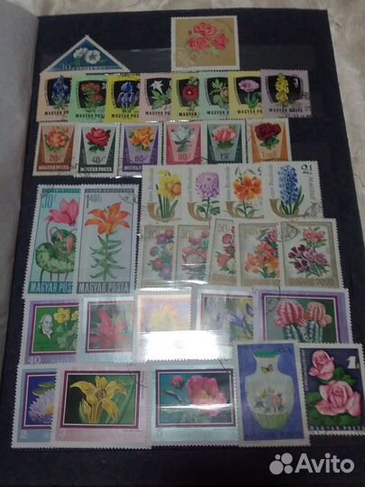 Альбом с почтовыми марками