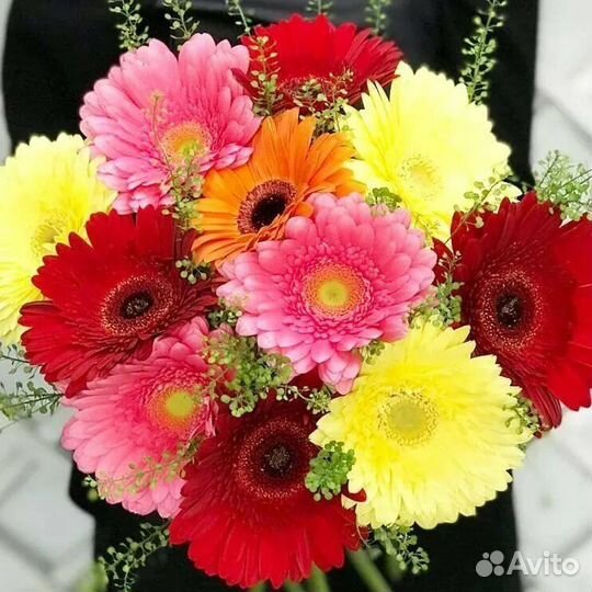Цветы Герберы и Букеты с Доставкой