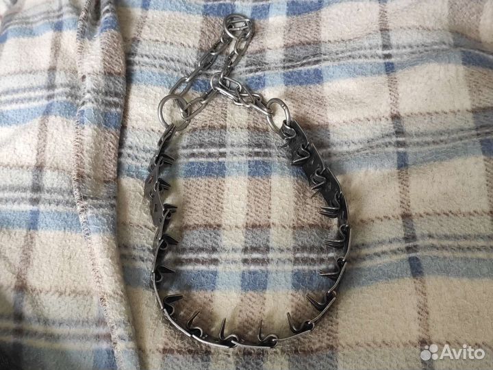 Строгий ошейник для собак