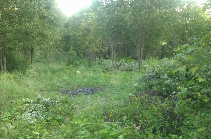 Участок 20 сот. (СНТ, ДНП)